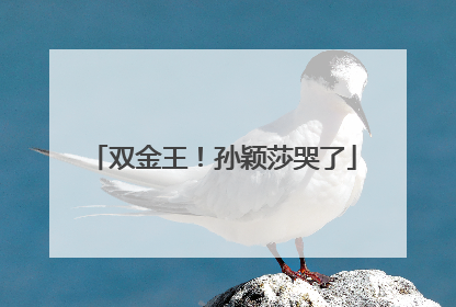 双金王！孙颖莎哭了