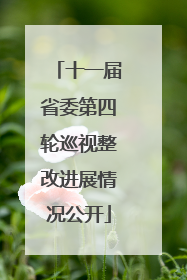 十一届省委第四轮巡视整改进展情况公开