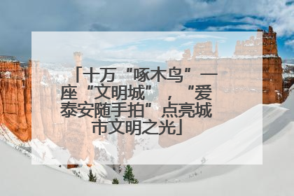 十万“啄木鸟”一座“文明城”，“爱泰安随手拍”点亮城市文明之光