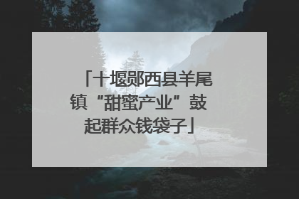 十堰郧西县羊尾镇“甜蜜产业”鼓起群众钱袋子
