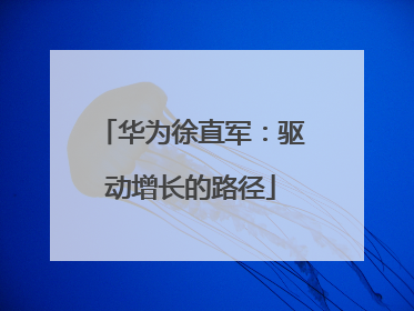 华为徐直军：驱动增长的路径