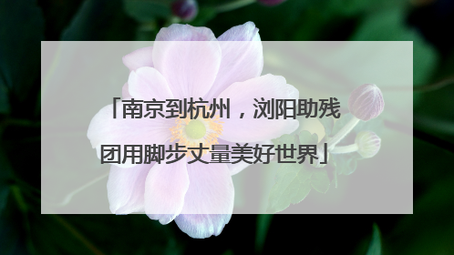 南京到杭州，浏阳助残团用脚步丈量美好世界