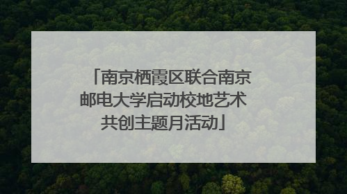 南京栖霞区联合南京邮电大学启动校地艺术共创主题月活动