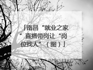 南昌“就业之家”直播带岗让“岗位找人”（图）