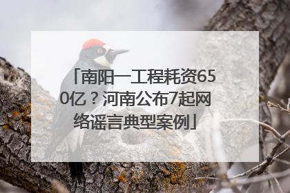 南阳一工程耗资650亿？河南公布7起网络谣言典型案例