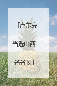 卢东亮当选山西省省长