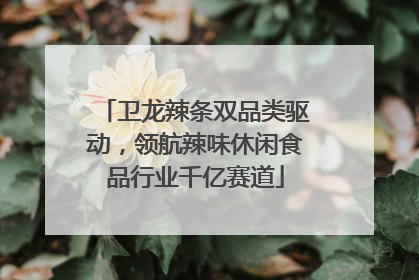 卫龙辣条双品类驱动，领航辣味休闲食品行业千亿赛道
