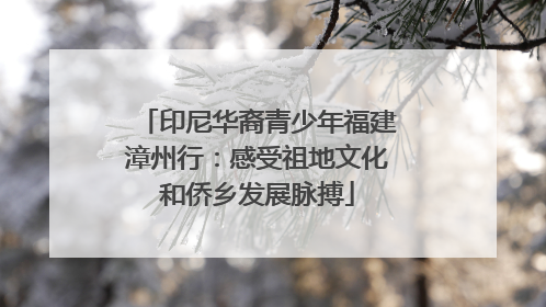 印尼华裔青少年福建漳州行：感受祖地文化和侨乡发展脉搏