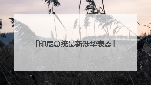 印尼总统最新涉华表态