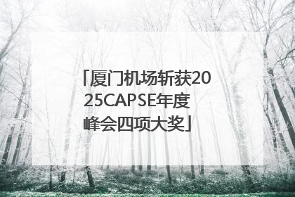 厦门机场斩获2025CAPSE年度峰会四项大奖