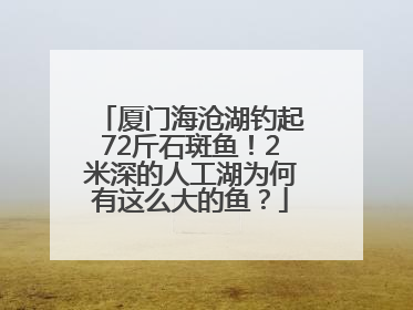 厦门海沧湖钓起72斤石斑鱼！2米深的人工湖为何有这么大的鱼？