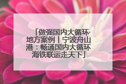 做强国内大循环·地方案例丨宁波舟山港：畅通国内大循环海铁联运走天下