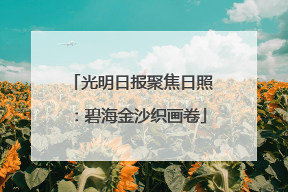 光明日报聚焦日照：碧海金沙织画卷