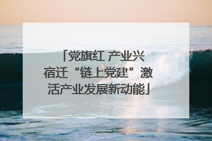 党旗红 产业兴 宿迁“链上党建”激活产业发展新动能