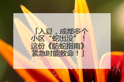 入夏，成都多个小区“蛇出没”！这份《防蛇指南》紧急时能救命！