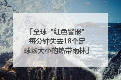 全球“红色警报”  每分钟失去18个足球场大小的热带雨林