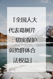 全国人大代表葛树芹：切实保护弱势群体合法权益