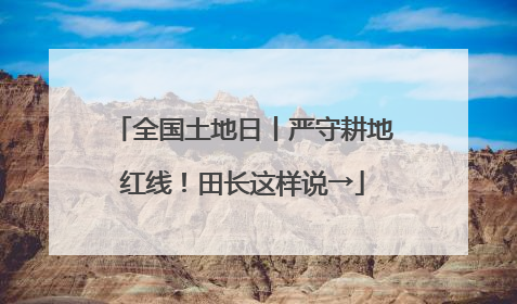 全国土地日丨严守耕地红线！田长这样说→