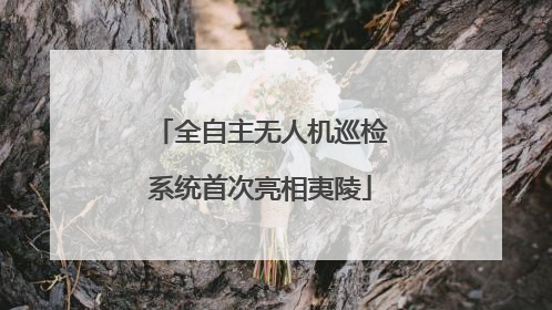 全自主无人机巡检系统首次亮相夷陵