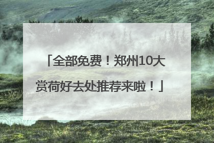全部免费！郑州10大赏荷好去处推荐来啦！