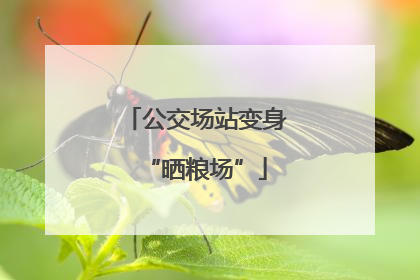 公交场站变身“晒粮场”