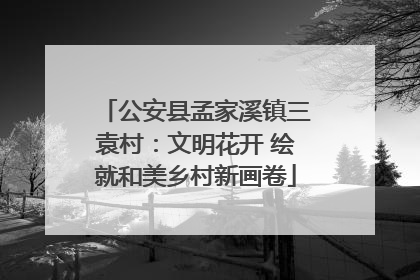 公安县孟家溪镇三袁村：文明花开 绘就和美乡村新画卷