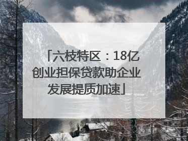 六枝特区：18亿创业担保贷款助企业发展提质加速