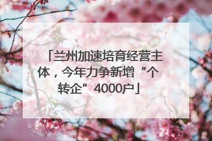 兰州加速培育经营主体，今年力争新增“个转企”4000户