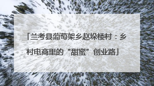兰考县葡萄架乡赵垛楼村：乡村电商里的“甜蜜”创业路