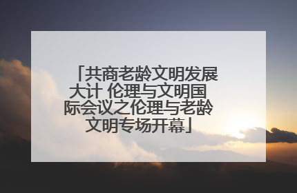 共商老龄文明发展大计 伦理与文明国际会议之伦理与老龄文明专场开幕
