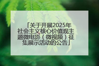 关于开展2025年社会主义核心价值观主题微电影（微视频）征集展示活动的公告