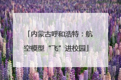 内蒙古呼和浩特：航空模型“飞”进校园