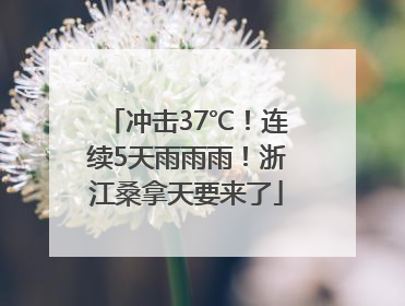 冲击37℃！连续5天雨雨雨！浙江桑拿天要来了
