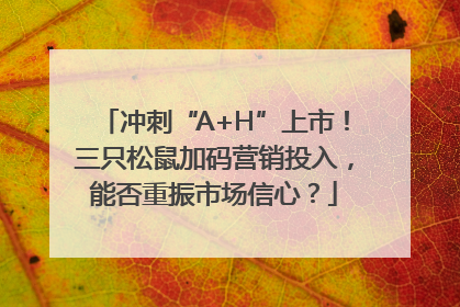 冲刺“A+H”上市！三只松鼠加码营销投入，能否重振市场信心？