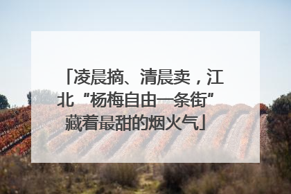 凌晨摘、清晨卖，江北“杨梅自由一条街”藏着最甜的烟火气