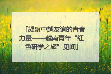 凝聚中越友谊的青春力量——越南青年“红色研学之旅”见闻