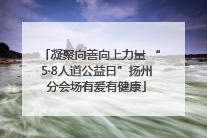凝聚向善向上力量 “5·8人道公益日”扬州分会场有爱有健康
