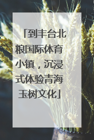 到丰台北粮国际体育小镇，沉浸式体验青海玉树文化