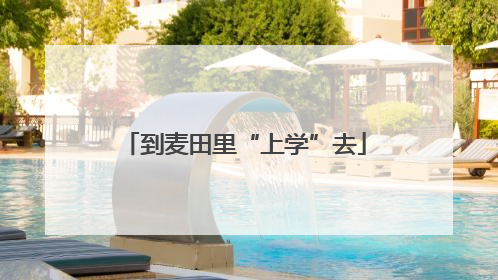 到麦田里“上学”去