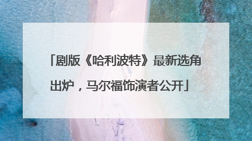 剧版《哈利波特》最新选角出炉，马尔福饰演者公开
