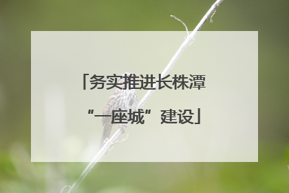 务实推进长株潭“一座城”建设