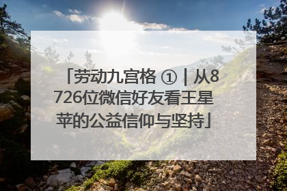 劳动九宫格 ①｜从8726位微信好友看王星苹的公益信仰与坚持