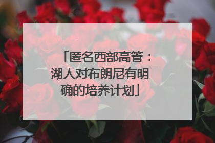 匿名西部高管：湖人对布朗尼有明确的培养计划