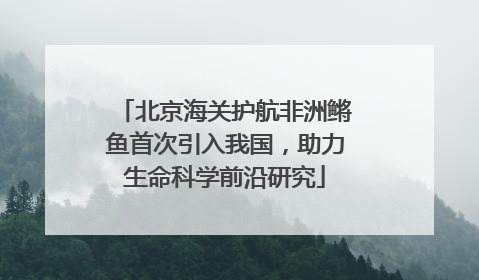 北京海关护航非洲鳉鱼首次引入我国，助力生命科学前沿研究