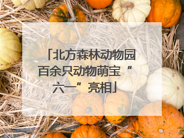 北方森林动物园百余只动物萌宝“六一”亮相