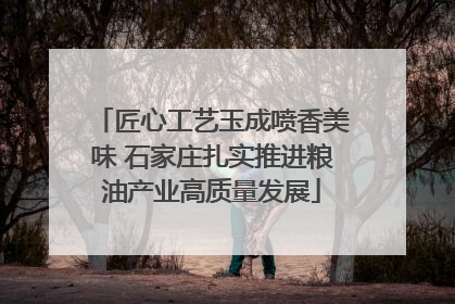 匠心工艺玉成喷香美味 石家庄扎实推进粮油产业高质量发展