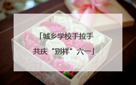 城乡学校手拉手 共庆“别样”六一