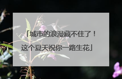 城市的浪漫藏不住了！这个夏天祝你一路生花