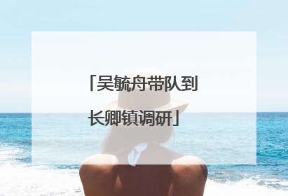 吴毓舟带队到长卿镇调研