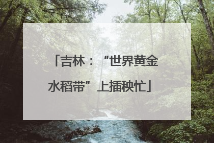 吉林：“世界黄金水稻带”上插秧忙